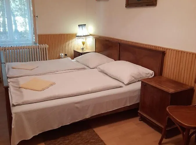 Bendegúz * Balatonföldvár